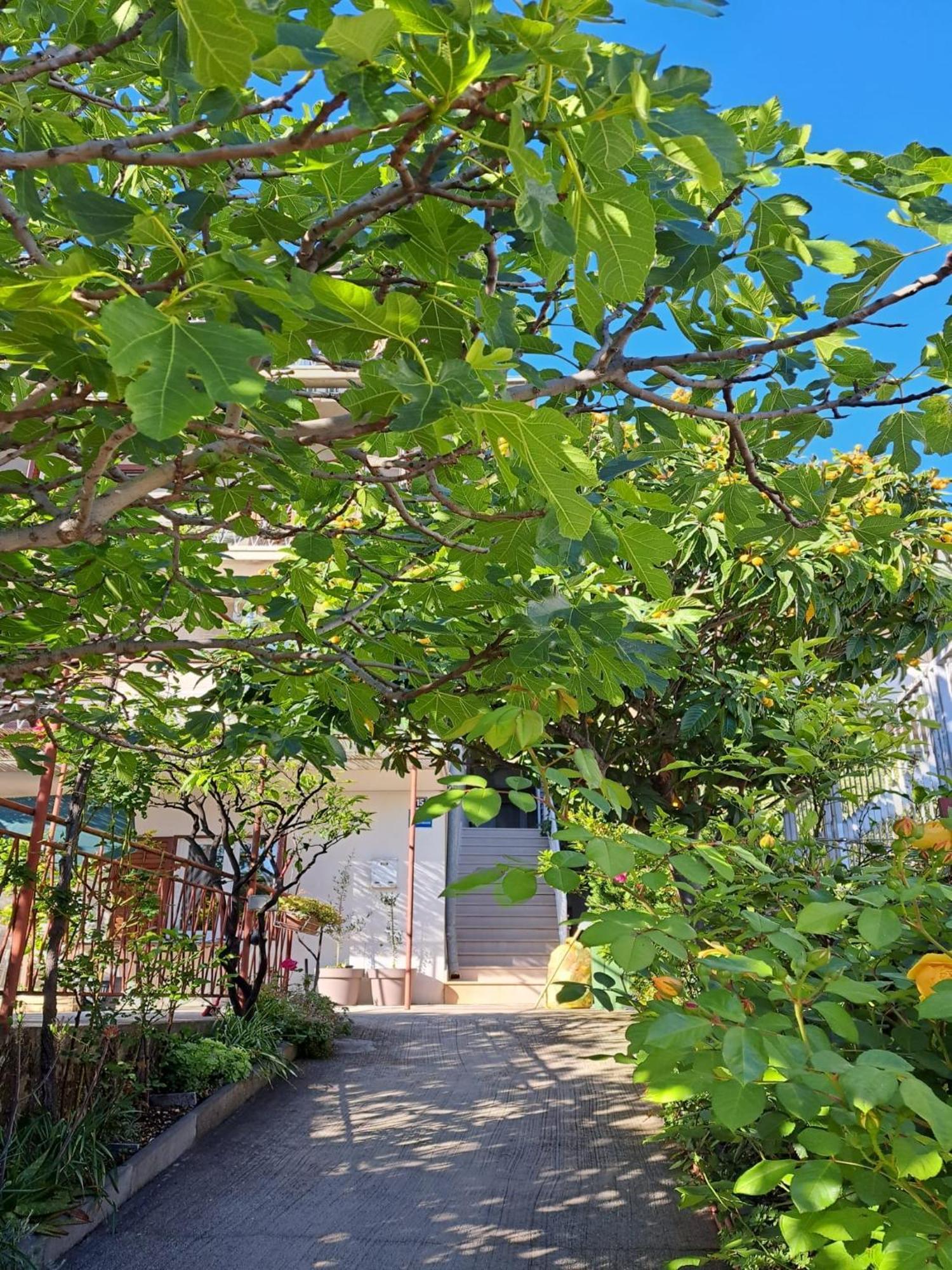 Adriatic Pavlinovic - Apartment Makarska