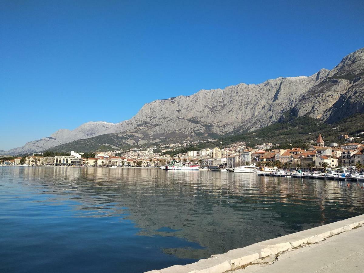 Adriatic Pavlinovic - *